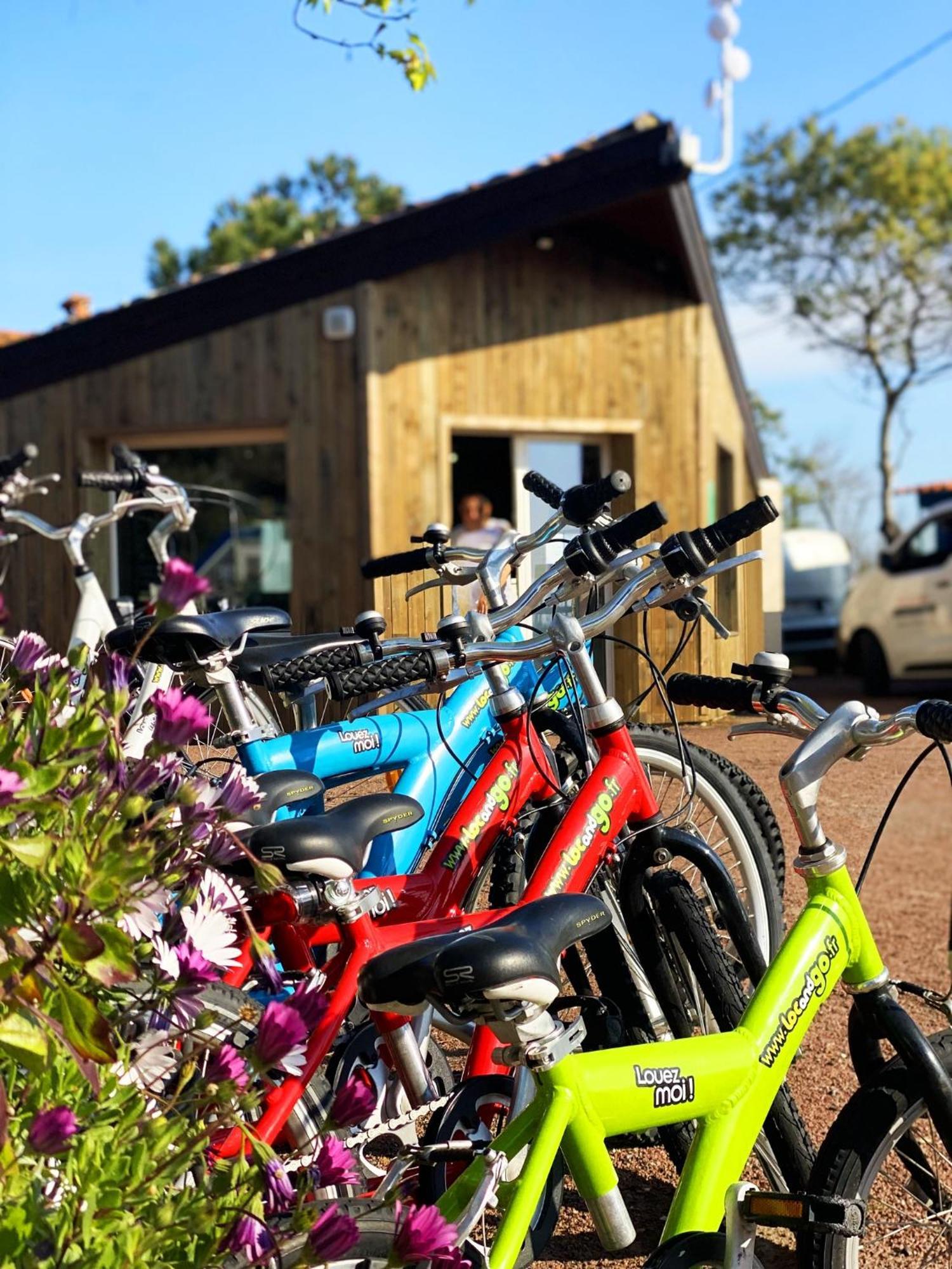 Dolus d'Oléron Camping Ostrea **** מראה חיצוני תמונה